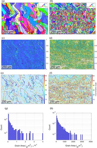 Figure 10. EBSD observations for DED produced AA7075 with and without ultrasonic treatment, (a, c, e, g) inverse pole figure, kernel average misorientation map, boundary misorientation map, grain size distribution of AA7075 without ultrasonic treatment, respectively, (b, d, f, h) inverse pole figure, kernel average misorientation map, boundary misorientation map, grain size distribution of AA7075 with ultrasonic treatment, respectively.