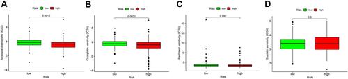 Figure 9 Prediction of chemosensitivity using the risk signature. High risk scores were associated with lower IC50 for (A) fluorouracil and (B) oxaliplatin, but not (C) paclitaxel and (D) cisplatin.