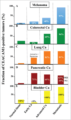 Figure 4. Expression of CEACAM1 in various types of cancers. Relative CEACAM1 expression is indicated in normal tissue, early carcinomas, advanced carcinomas and metastases for melanoma (A), colorectal (B), lung (C), pancreatic (D) and bladder (E) cancers. The numbers indicated in various columns represent fractions of patient samples positive for CEACAM1 expression in percentages. Information for this data has been gathered from (A), ref.124 and 127 (B), Citationref. 11,142 and Citation143 (C), ref.151,152 and 153 (D), ref.159, (E) ref.16 and 161