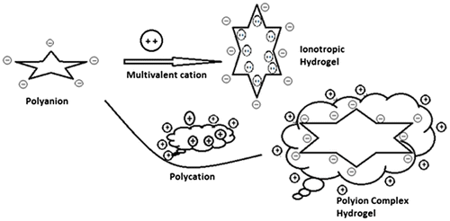 Figure 1. Methods for the preparation of two different types of ionic hydrogels.