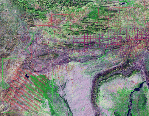 Figure 3. Satellite Imagery [Landsat 7, bands 2, 4, and 7, Source: National Aeronautics and Space Administration (NASA)] with three exploration data layers; lease concessions polygons, seismic lines (yellow lines with purple pickets) and wells (red circles) [Source: Pakistan Exploration Database]. A 3D seismic survey grid was planned in the lower-left area using interactive seismic survey design tools.