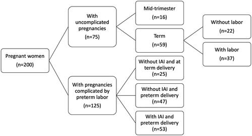 Figure 1. Flow diagram of patients included in the study.