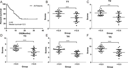 Figure 2 Correlation of gene expression scores in different models with the OS of GBM patients. The OS rate of the 44 GBM patients was plotted using Kaplan-Meier analysis (A). The median survival (12.5 months) was calculated and used to divide the patients into two patient groups with either <12.5 months or >12.5 months survival time. Five different models (Y1–Y5) using different combination of gene expression scores and clinical characteristics were used to examine the correlations between the two patient groups presented in (B–F). P values were calculated using the student’s t-test. *** indicates P <0.001 and **** indicates P <0.0001.