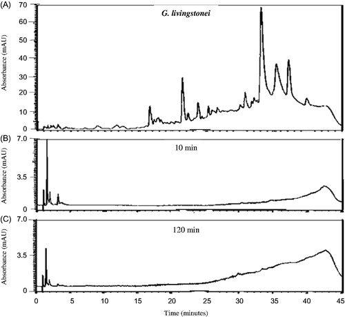 Figure 7. HPLC chromatograms of G. livingstonei organic extract (32 mg/mL PBS) at 260 nm prior to (A) and after the in vitro permeability experiment at different time intervals (B: 10 min and C: 120 min) after exposure to excised porcine skin.