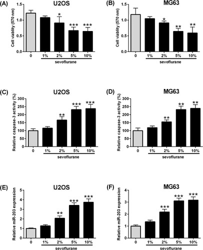 Figure 1 Sevoflurane suppresses cell viability, increases caspase-3 activity and up-regulates miR-203 expression in osteosarcoma cells. U2OS and MG63 cells were exposed to different concentrations of sevoflurane (1%, 2%, 5% and 10%) for 6 hrs (A and B) MTT assay determined the cell viability of U2OS and MG63 cells; (C-D) caspase-3 activity assay kit determined the caspase-3 activity of U2OS and MG63 cells; (E-F) qRT-PCR determined the expression of miR-203 in U2OS and MG63 cells. N = 3. *P<0.05, **P<0.01 and ***P<0.001.