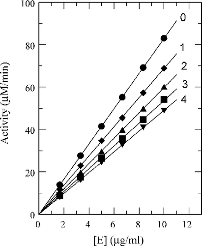 Figure 7 The Effect of concentrations of mushroom tyrosinase on its activity for the oxidation of l-DOPA at different concentrations of 2-fluorobenzaldehyde (a). Concentration of the inhibitor for curves 0–4 was 0, 0.25, 0.50, 0.75, 1.00 mM, respectively.