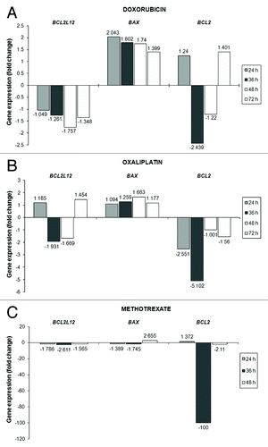 Figure 4. Analysis of the transcriptional activity of BCL2L12, BAX, and BCL-2 genes in the AGS cells after being exposed to doxorubicin (A) or oxaliplatin (B) or methotrexate (C) for the indicated time intervals. Any modifications in the expression levels of BCL2L12, BAX, and BCL-2 transcripts in the treated cells compared with the untreated (control) cells are presented as fold change and have a columnar form.