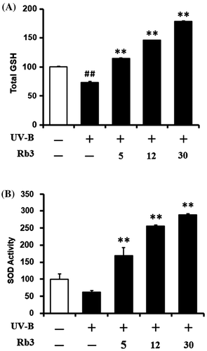Fig. 6. Effect of Rb3 on total glutathione (GSH, (A)) and superoxide dismutase (SOD, (B)) activity levels in cellular lysates prepared from HaCaT keratinocyte cultures under irradiation with 70 mJ/cm2 UV-B radiation.