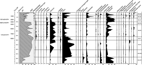 Figure 1. Percentage pollen diagram from Lake Orestiás. The diagram is based on a pollen sum of more than 300 terrestrial pollen and spores, excluding pollen and spores of aquatic plants and Cyperaceae.