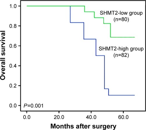 Figure 2 Kaplan–Meier survival curves of glioma patients based on the expression levels of SHMT2 protein.