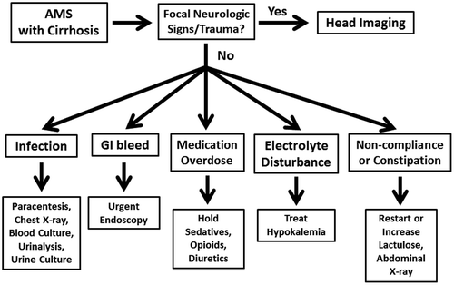 Figure 1. Proposed clinical algorithm for patients with cirrhosis presenting with altered mental status (AMS).