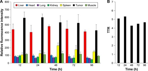 Figure 5 The quantitative fluorescence intensities of Cy-Polytaxel distributed in each major organ of the A549 tumor-bearing mice (A) and TTR (B).Note: Bars represent standard deviation (n=3).Abbreviations: Cy, Cyanine dye; TTR, tumor-to-normal tissue ratio.