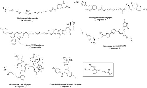 Figure 4. Chemical structures of the biotin-conjugates described in Table 2.