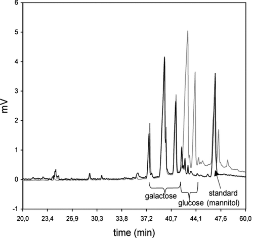 FIGURE 1 Gas chromatographic separation of lactose constituents. The gray line represents three peaks of galactose and two peaks of glucose, all of untagged lactose origin, and internal standard, mannitol. The black line represents lactose after labeling with p-aminobenzoic acid ethyl ester (ABEE).
