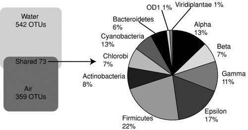 FIG. 5 Sequence associations of the 73 shared OTUs (>97% sequence identity) in atmospheric samples and nearby aerated/turbulent floodwaters.