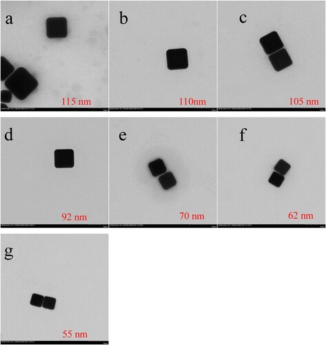 Figure 2. TEM images of seven kinds of AuNCs with different size: (a) 115 nm; (b) 110 nm; (c) 105 nm; (d) 92 nm; (e) 70 nm; (f) 62 nm, and (g) 55 nm, when HAuCl4 growth solution was reduced on the surface of Au seeds with the volume of 4, 8, 12, 16, 20, 24 and 28 μL, respectively.