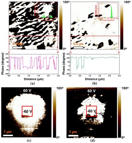 Figure 6. PFM image comparisons of NBT-BT and NBT-BT-Mn piezoceramics: (a) phase image of NBT-BT-Mn, (b) phase image of NBT-BT, (c) phase image of NBT-BT-Mn after polarization switching, and (d) phase image of NBT-BT after polarization switching.