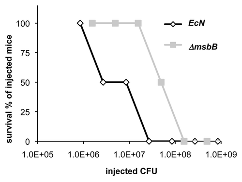 Figure 4 LD50 of E. coli Nissle 1917 strains in BALB/c mice. Different amounts of wild-type (EcN) and msbB-mutant (ΔmsbB) E. coli Nissle 1917 were i.p. injected into BALB/c mice. Latter bacterial strain resulted in reduced toxicity and therefore higher survival rates (about 10-fold higher LD50) when compared to the wild-type strain.