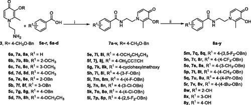 Scheme 3. Synthetic route of compounds 8.a aReaction conditions: (i) (1) 5a-r/6a-d, DCC, DMAP, 2-mercaptothiazoline, DCM, r.t., 24 h; (2) 3, DCM, r.t., 24 h. (ii) BBr3 or BCl3, anhydrous DCM, −78 to −48 °C to r.t., 12 h.