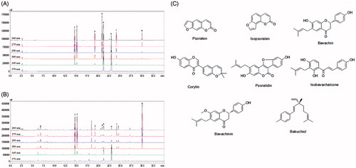 Figure 1. (A, B) HPLC chromatograms of the standard solution (A) and 70% ethanol extract of P. corylifolia (B). (C) Chemical structure of the eight marker compounds of PCE: psoralen (1), isopsoralen (2), bavachin (3), corylin (4), psoralidin (5), isobavachalcone (6), bavachinin (7) and bakuchiol (8).