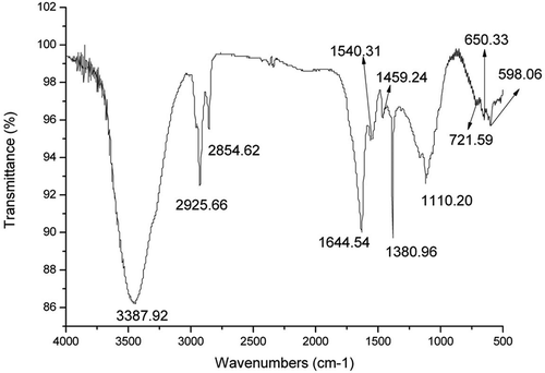 Figure 2. The FT-IR spectrum of brown pigment from vacuum-fried P. eryngii.