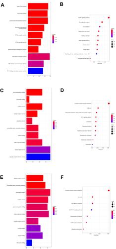 Figure 3 GO terms and KEGG pathways enriched in DEMs’ target genes, DEGs and focus genes. (A) Top 10 GO terms enriched in target genes of plasma exosome-derived DEMs. (B) Top 10 KEGG pathways of DEMs’ target genes. (C) Top 10 GO terms enriched in DEGs of skins (from GSE8056). (D) Top 10 KEGG pathways of DEGs. (E) Top 10 GO terms enriched in the focus genes. (F) All 7 KEGG pathways of the focus genes.