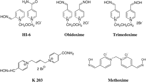 Figure 1.  Chemical structure of oximes.