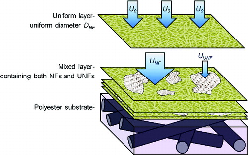 FIG. 1. A schematic for the layered multiple zone model composed of both NFs and UNFs on top of the polyester substrate.