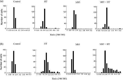 Figure 8. Assessment of [Ca2+]i. Cells were stained with Fura-2/AM and then immediately treated with heat with or without MS5. Histograms of [Ca2+]i. (a) Immediately after treatment. (b) After 6 h incubation with MS5, mild HT alone and in combination.