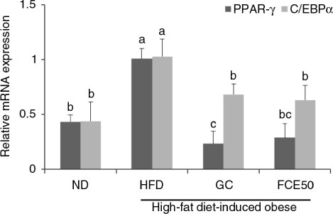 Fig. 1 Effect of 50% ethanol extract from fermented Curcuma longa L. (FCE50) on mRNA expression of PPAR-γ and C/EBPα in white adipose tissue of high-fat diet-induced obese rats. The normal diet group (ND) comprised rats fed the AIN76 diet; the high-fat diet-induced obese group (HFD) comprised rats fed a 60% high-fat diet; the Garcinia cambogia treated group (positive control) (GC) comprised rats fed a 60% high-fat diet with Garcinia cambogia 500 g/kg b.w./day; the FCE50-treated group comprised rats fed a 60% high-fat diet with FCE50 500 g/kg b.w./day. All data are expressed as mean±standard deviation (n=6). Different letters show a significant difference at p<0.05 as determined by Duncan's multiple range test.