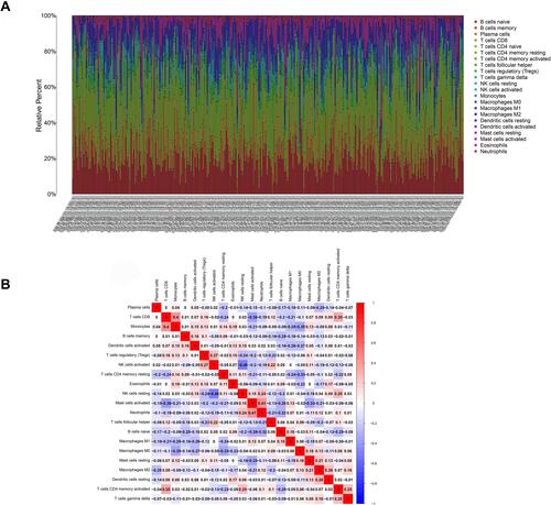 Figure 10 Infiltrating immune cells profile in gastric cancer samples and correlation analysis. (A) The proportion of 22 kinds of infiltrating immune cells. (B) The correlation between 22 kinds of infiltrating immune cells.