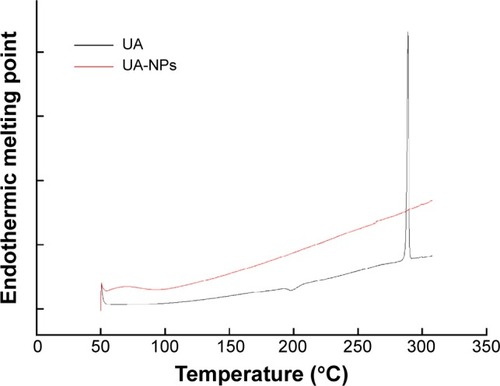 Figure 3 DSC thermograms of UA and UA-NPs.Abbreviations: DSC, differential scanning calorimetry; UA, ursolic acid; UA-NPs, UA-loaded poly(N-vinylpyrrolidone)-block-poly (ε-caprolactone) nanoparticles.