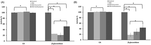 Figure 4. In vivo effects of DSS, DSS + curcumin and DSS + sulfasalazine on CA and cytosolic β-glucosidase activity of DSS-induced colitis mice for (A) prophylactic and (B) therapeutic application.CA enzyme activity was determined from blood. Blood samples were taken to dry tubes and centrifuged at 1500 rpm for 15 min. The packed red cells were hemolysed with cold water. Hemolysate was used for CA enzyme assay. Liver samples were used for the determination of β-glucosidase activity. Livers were powdered with liquid nitrogen, placed in 2 vol. of ice-cold extraction buffer and used for β-glucosidase assay. The data represent means ± SD (n = 7 mice/group). All rates were determined at least in duplicate. *p < 0.05.