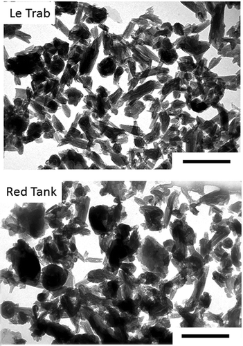 Figure 1. Transmission electron micrographs of the citrate-dithionite-treated clay fractions of LeTrab 2Bt3 and Red Tank 2Bt3 samples. Reference scales are 0.5 µm.