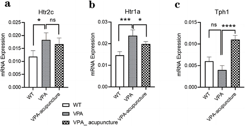 Figure 13 The results of RT-qPCR.