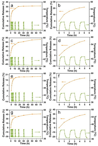 Figure 5. Temperature curves and DOX cumulative release curves of magnetic carbon nanotubes under alternating magnetic field (MCNTs: a, b; CHI-MCNTs: c, d; ALG-MCNTs: e, f; ALG/CHI-MCNTs: g, h). among them, a, c, e and g are temperature curves and DOX cumulative release curves in 70 h; b, d, f and h are temperature curves and DOX cumulative release curves in 5 h.