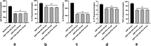 Figure 7 Levels of inflammatory factors after intervention with TLR4 inhibitor and PCs. (a-e) IgA, IL-4, IL-8, IL-17, TNF-α expression levels of each groups.