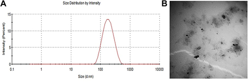 Figure 2 Characteristics of the used ivermectin nanosuspension. (A) Particle size distribution. (B) Transmission electron micrograph of the prepared ivermectin nanosuspension.