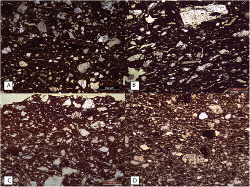 Figure 5. Several examples of voids and inclusions parallel or partially parallel with the border of the sherds. Pictures were taken with plane polarized light: (A) FR1 outlier; (B) FR15 group 1; (C) FR10 outlier; (D) FR29 group 4.