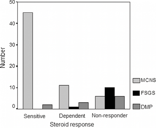 Figure 1. Response rate of the patients with INS to steroid therapy in our study group.