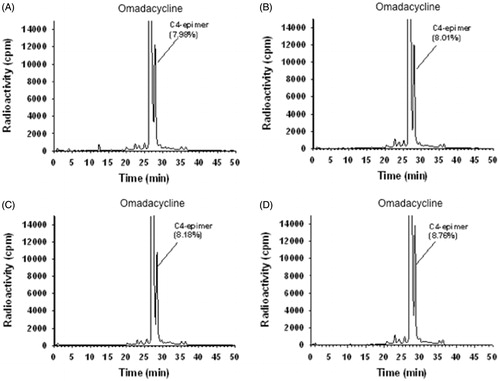 Figure 2. Incubation of [14C]-omadacycline in human liver microsomes. [14C]-omadacycline (12 or 48 μM) incubations were conducted in the absence or presence of metabolic co-factors (48 μM incubation results shown). Results shown include: (A) the absence of co-factors, (B) the presence of NADPH, (C) the presence of UDP-glucuronic acid (UPPGA) and (D) presence of NADPH and UDPGA. Incubations using 12 μM [14C]-omadacycline also showed no evidence for metabolic turnover (not shown).