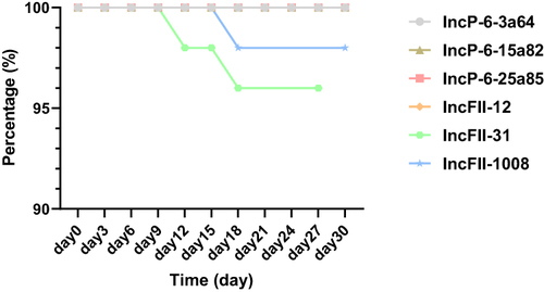 Figure 3 Results of plasmid stability for blaKPC-IncP-6 and blaKPC-IncFII in E.coli DH5α.