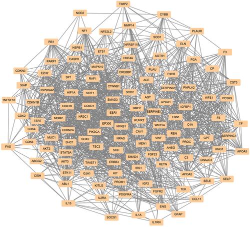 Figure 3 Disease-target network of DM. The dark-yellow nodes represent DM-related targets.