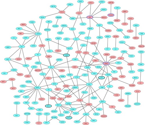 Figure 3 PD-specific PPI network.