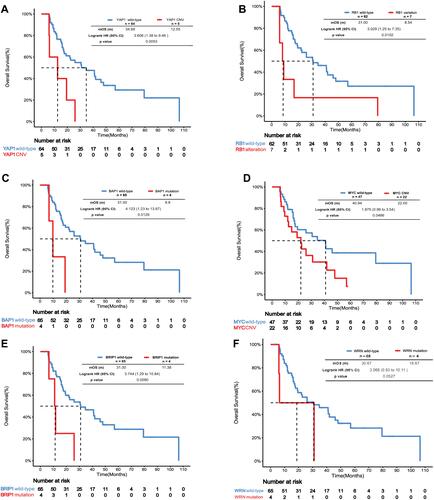 Figure 2 Survival analysis in AEC patients with different gene alterations. Kaplan–Meier survival curves for overall survival for the 69 EC patients from AEC cohort. The overall survival of patients with YAP1 amplification (A), RB1 alteration (B), BAP1 mutation (C), MYC amplification (D), BRIP1 mutation (E) and WRN mutation (F) was compared to that of patients with wild-type genes, respectively.