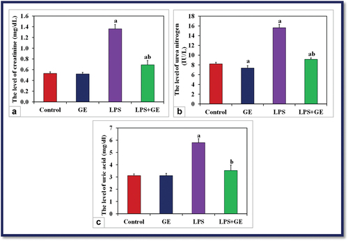 Figure 4. The levels of serum creatinine (mg/dL), urea nitrogen (U/L) and uric acid (mg/dL) among the studied groups of male rats (a: significance with control, b: significance with LPS group).