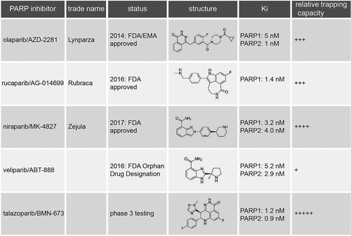 Figure 2. Overview of PARP inhibitors in clinical development. For each PARP inhibitor, various characteristics are indicated, including trade name, status in clinical development, chemical structure, dissociation constant (Ki) reflecting PARP1 catalytic inhibition, and capacity to trap PARP onto DNA.