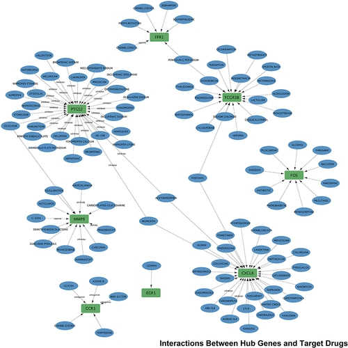 Figure 9 Green nodes indicate Hub genes, blue nodes indicate target drugs and the arrows connecting them indicate interaction pairs.