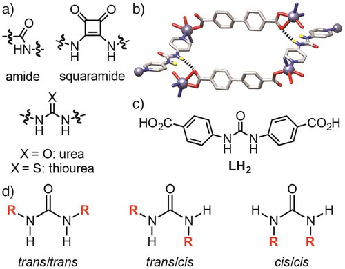 Figure 1. (Colour online) (a) H-bond donor groups incorporated into MOFs. (b) Structure-directing H-bonding between urea and carboxylate units of different nets in an interpenetrated Zn MOF (redrawn from CCDC deposition 1011797). (c) Chemical structure of the ligand N,Nʹ-bis(4-carboxyphenyl)urea (LH 2 ) used in this study. (d) Structures of the three different urea conformations.