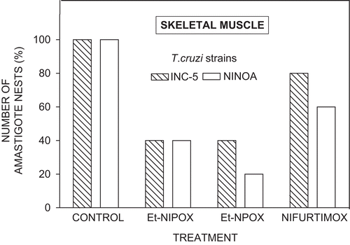 Figure 5.  Effect of ethyl ester of N-isopropyl oxamate (Et-NIPOX), ethyl ester of N-propyl oxamate (Et-NPOX), and nifurtimox on T. cruzi amastigote nests in skeletal muscle of mice infected with INC-5 (hatched columns) or NINOA (open columns) T. cruzi strain. The drugs were administered orally 10 mg/kg per day during 60 days.